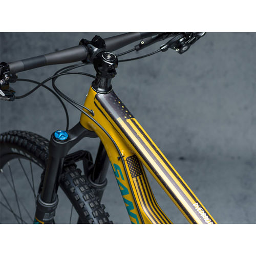 FRAME PROTECTION