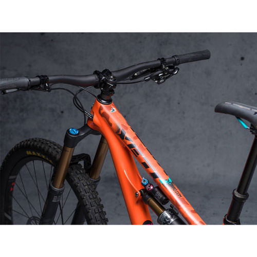 FRAME PROTECTION