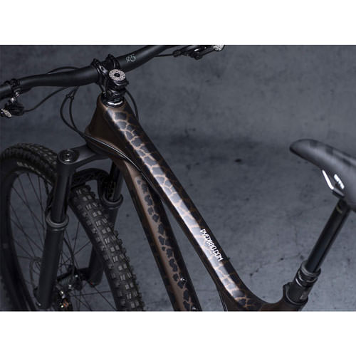 FRAME PROTECTION