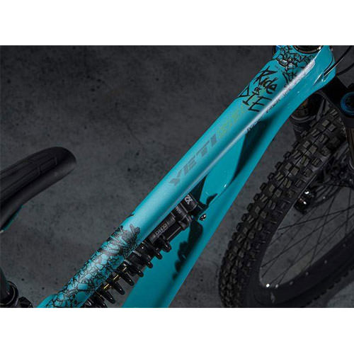 FRAME PROTECTION