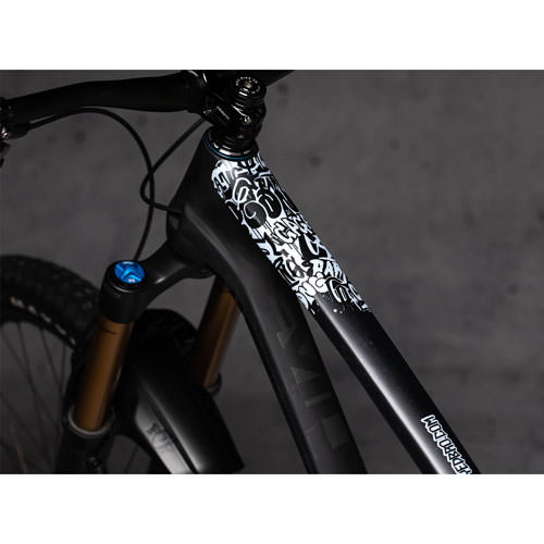 FRAME PROTECTION