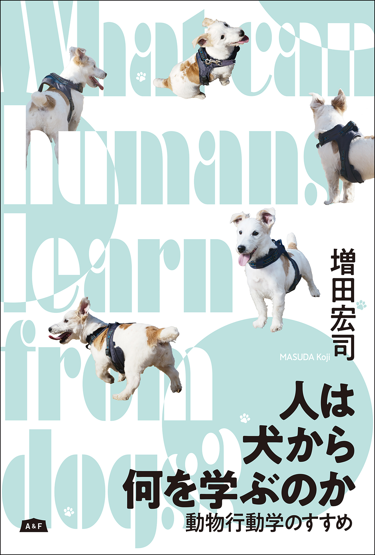 HELINOX×THE SUPERIOR LABOR 限定コラボセットを発売致します。 - 株式